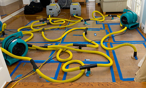 Professional Basement Flood Cleanup technician working in Cabot, AR